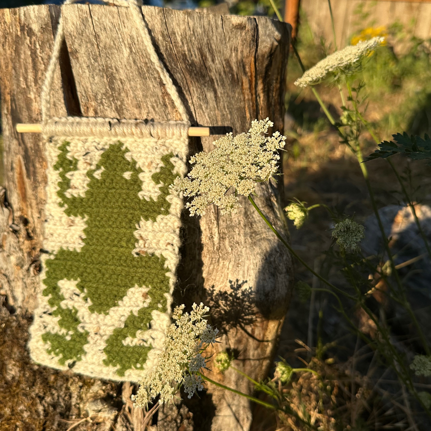 Froggie Crochet Tapestry