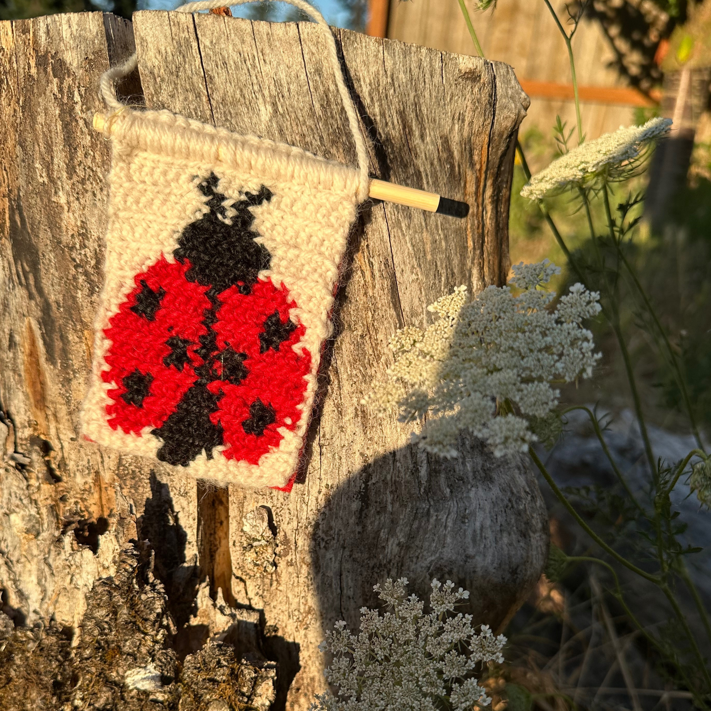 Ladybug Crochet Tapestry