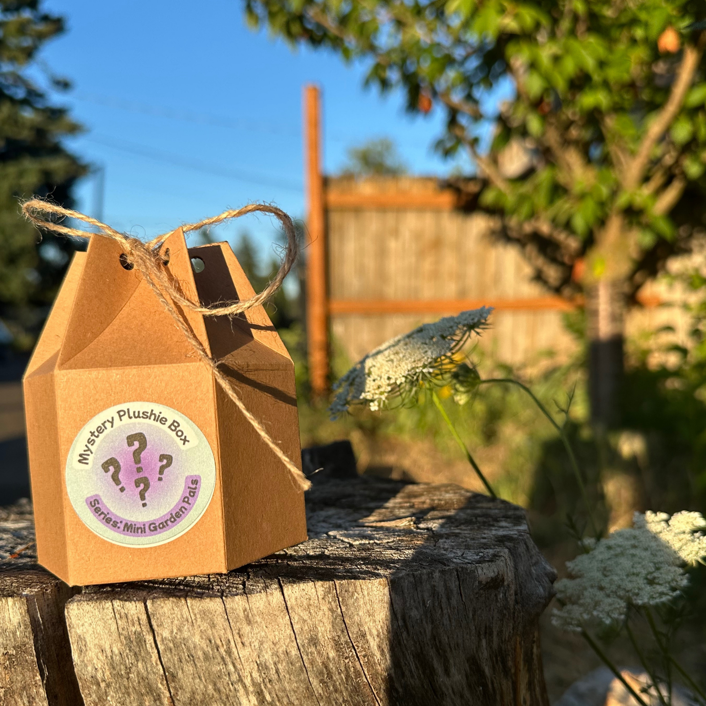 Mystery Plushie Box: Mini Garden Pals